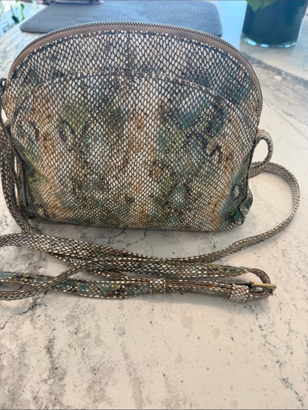 HOBO Metallic Snake-Print Crossbody in Metallic Teal and Gold